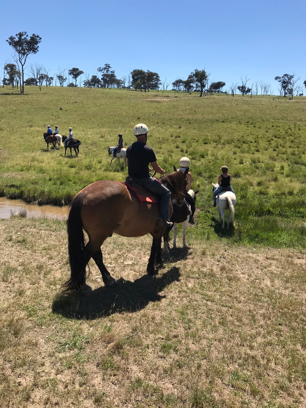 Harlow Park Horse Riding | 318 Gostwyck Rd, Uralla NSW 2358, Australia | Phone: (02) 6778 4631