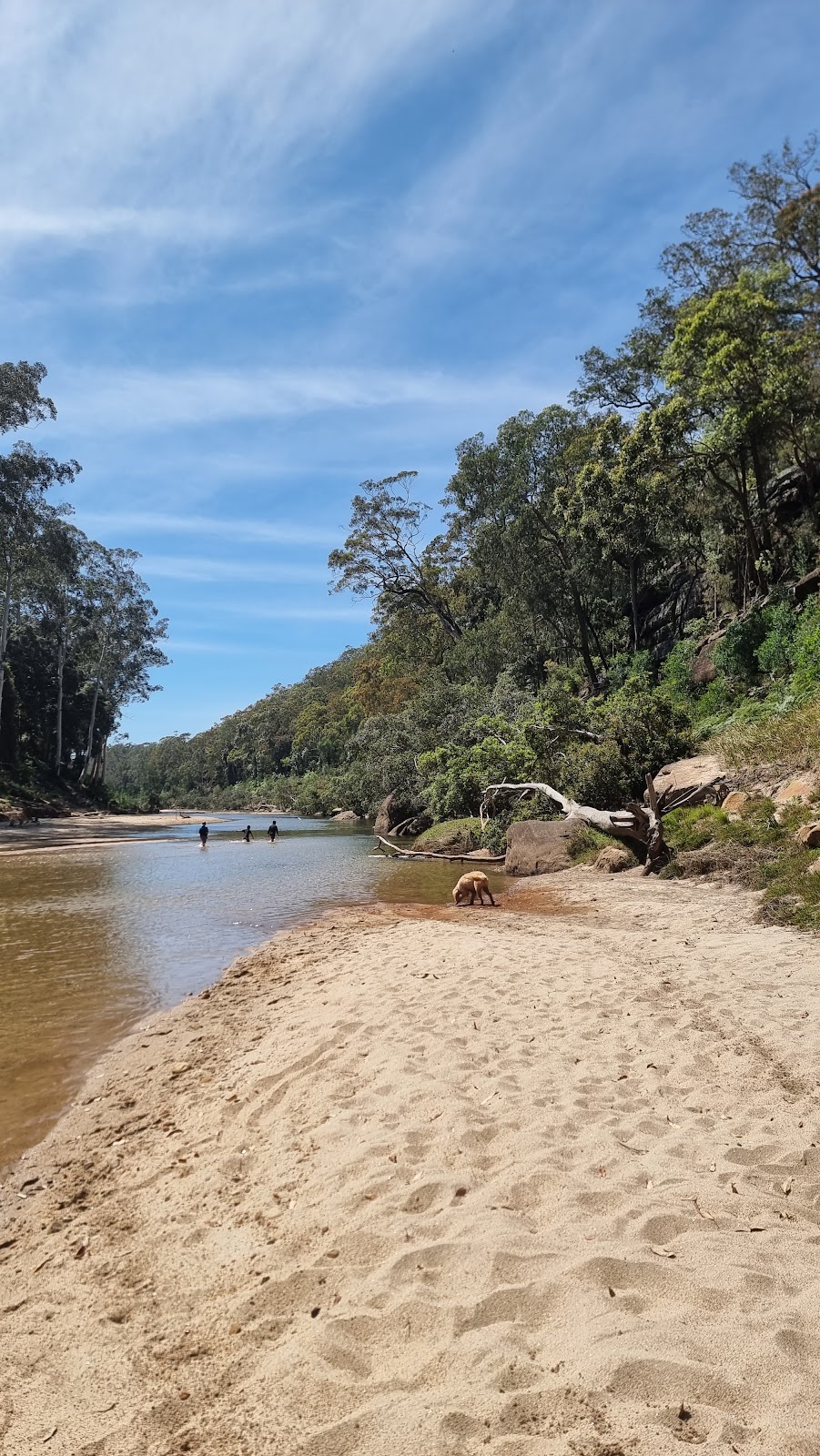 Deeimba Camp Grounds | 183 Mountain Ave, Yarramundi NSW 2753, Australia | Phone: 0418 738 784