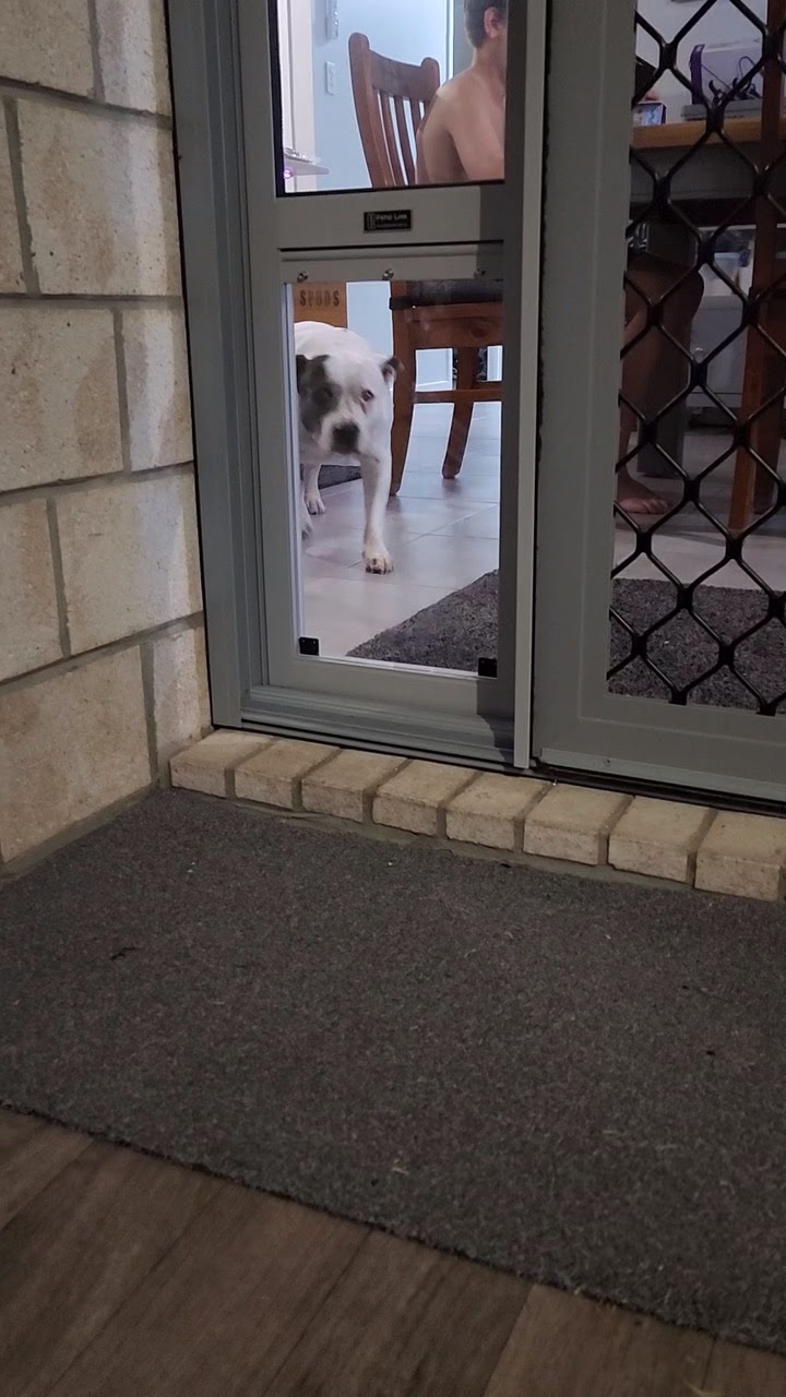 Patio Link | Pet Door Inserts for Sliding Door | Unit 7/15 John Duncan Ct, Varsity Lakes QLD 4227, Australia | Phone: 1300 489 424