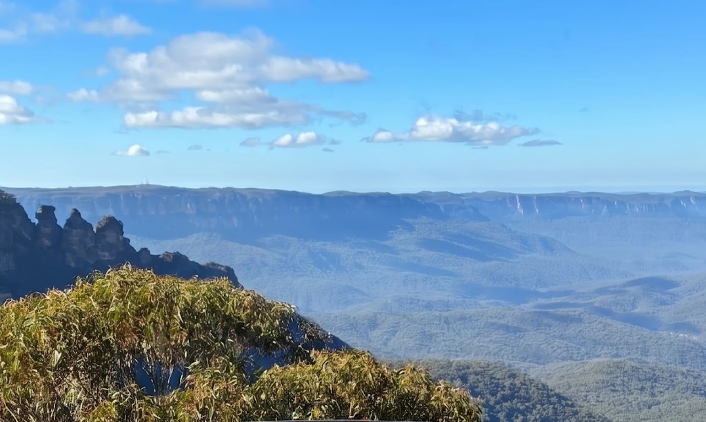Blue Mountains English Tutor - Catherine Kerr | 38 Farnells Rd, Katoomba NSW 2780, Australia | Phone: 0415 125 509
