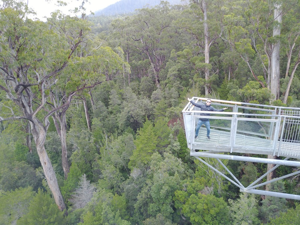 Tahune Adventures, Tasmania | lodging | Arve Rd, Geeveston TAS 7116, Australia | 0362513903 OR +61 3 6251 3903