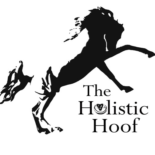 The Holistic Hoof | doctor | Charles Hine Ave, Margaret River WA 6285, Australia | 0448973856 OR +61 448 973 856
