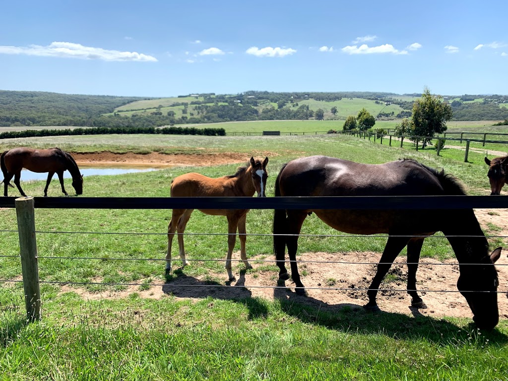 Two Bays Farm |  | 382 Meakins Rd, Flinders VIC 3929, Australia | 0499092008 OR +61 499 092 008