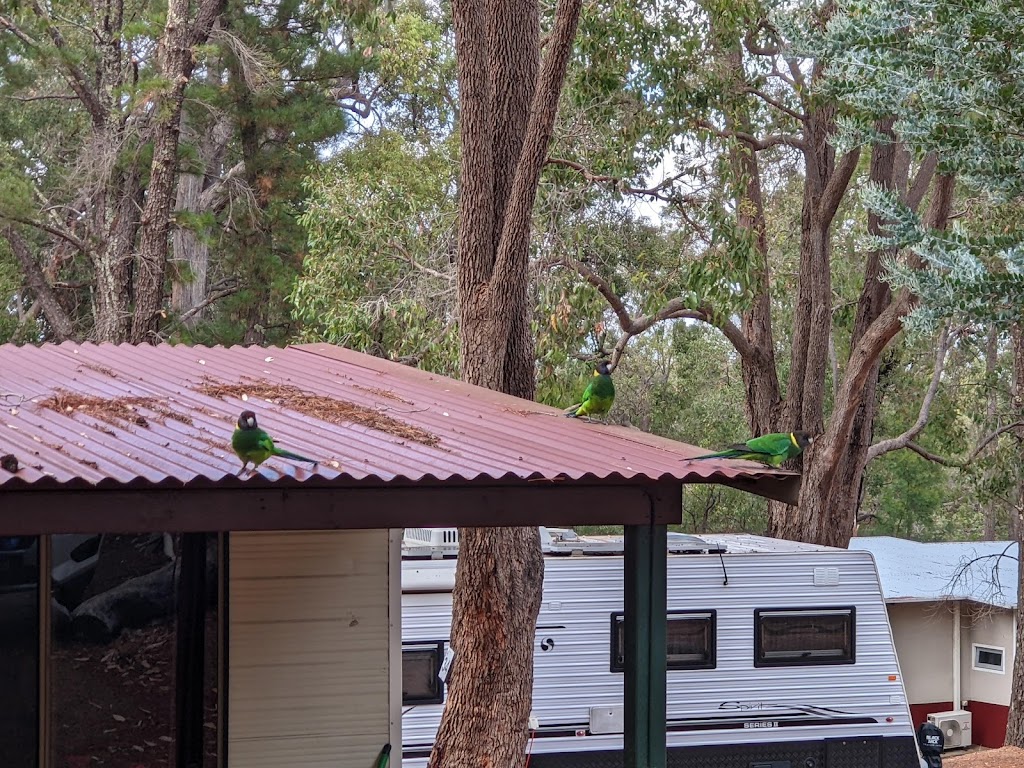 Lake Navarino camp site. | Lake Navarino Resort, 147 Invarell Rd, Waroona WA 6215, Australia | Phone: (08) 9733 3000