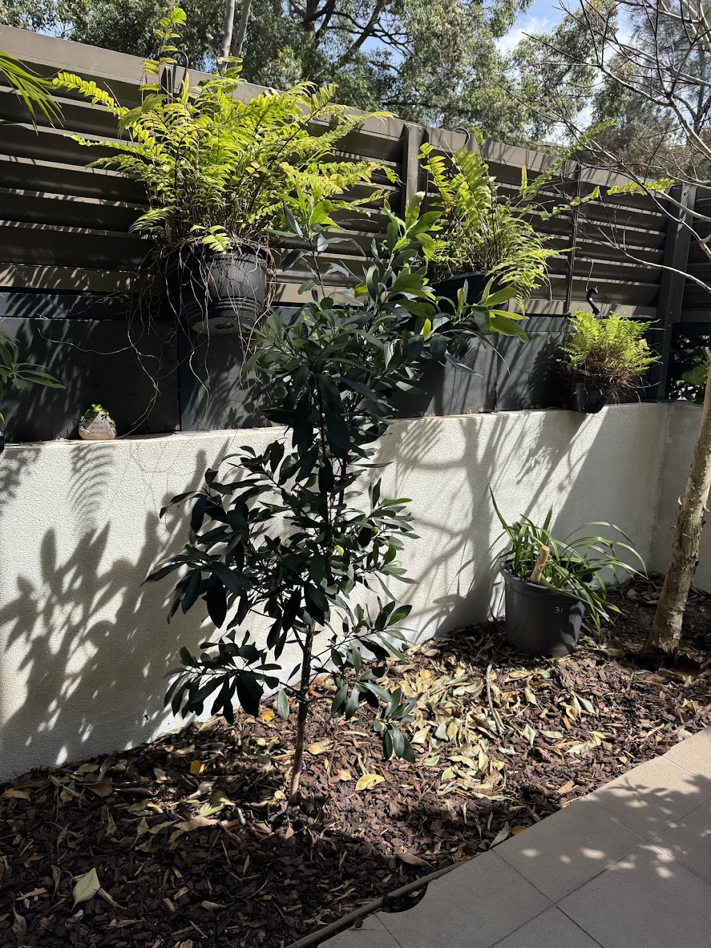 Nursery Warehouse | 24 Burns Rd, Ourimbah NSW 2258, Australia | Phone: (02) 4314 9018