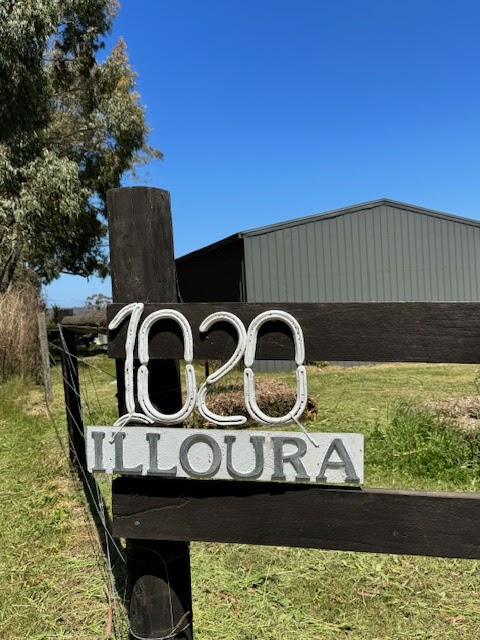 Illoura Equestrian | 1020 Daylesford-Malmsbury Rd, Glenlyon VIC 3461, Australia | Phone: 0421 611 201