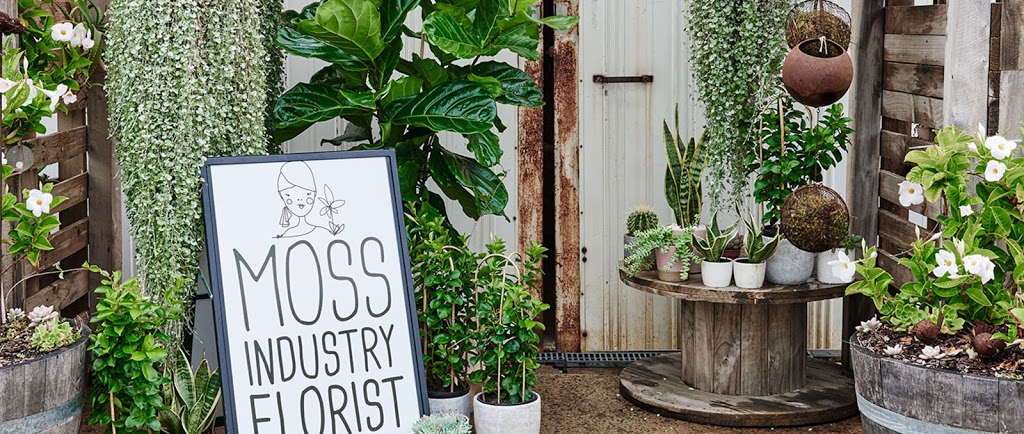 Moss Industry Florist | 8 Smithton Grove, Ocean Grove VIC 3226, Australia | Phone: (03) 4242 4149