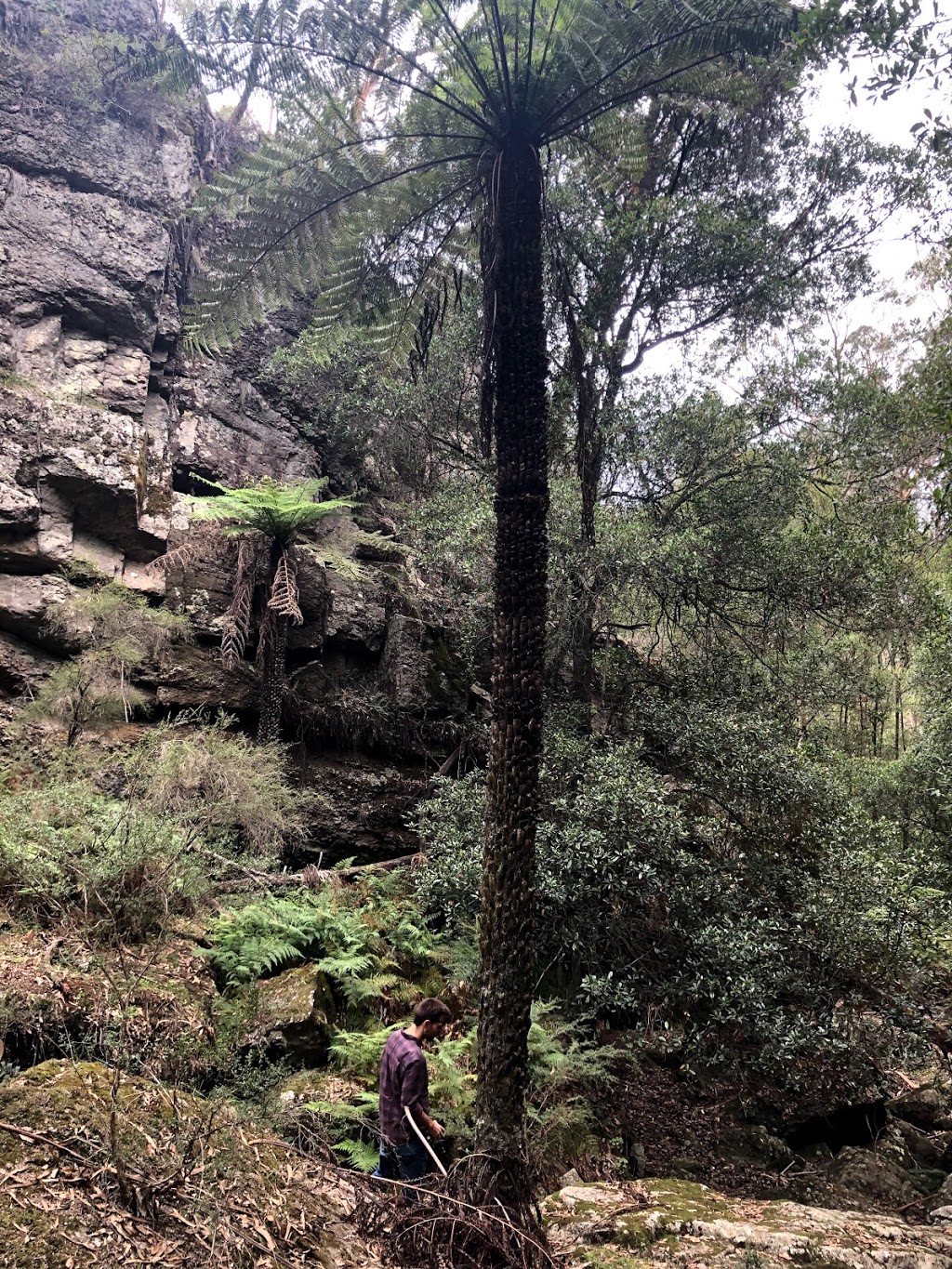 Nicholson Rocks | Kentucky Rd, Monomak VIC 3860, Australia