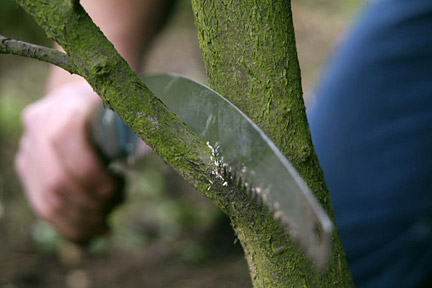 Fifteenfeet Tree Maintenance |  | 47 Fischer St, Coburg VIC 3058, Australia | 0435086323 OR +61 435 086 323