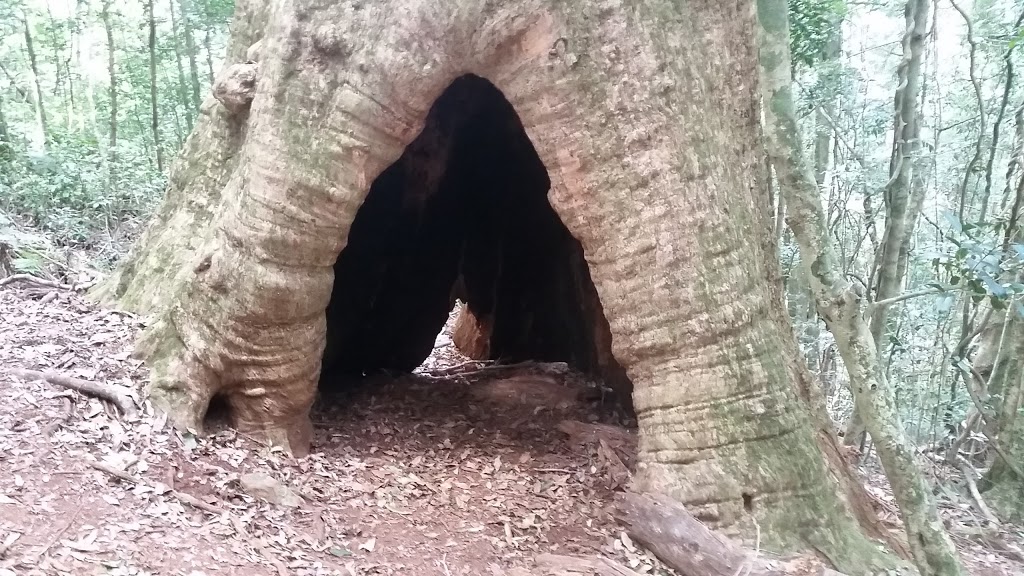 Boorganna Nature Reserve | park | Boorganna NSW 2429, Australia