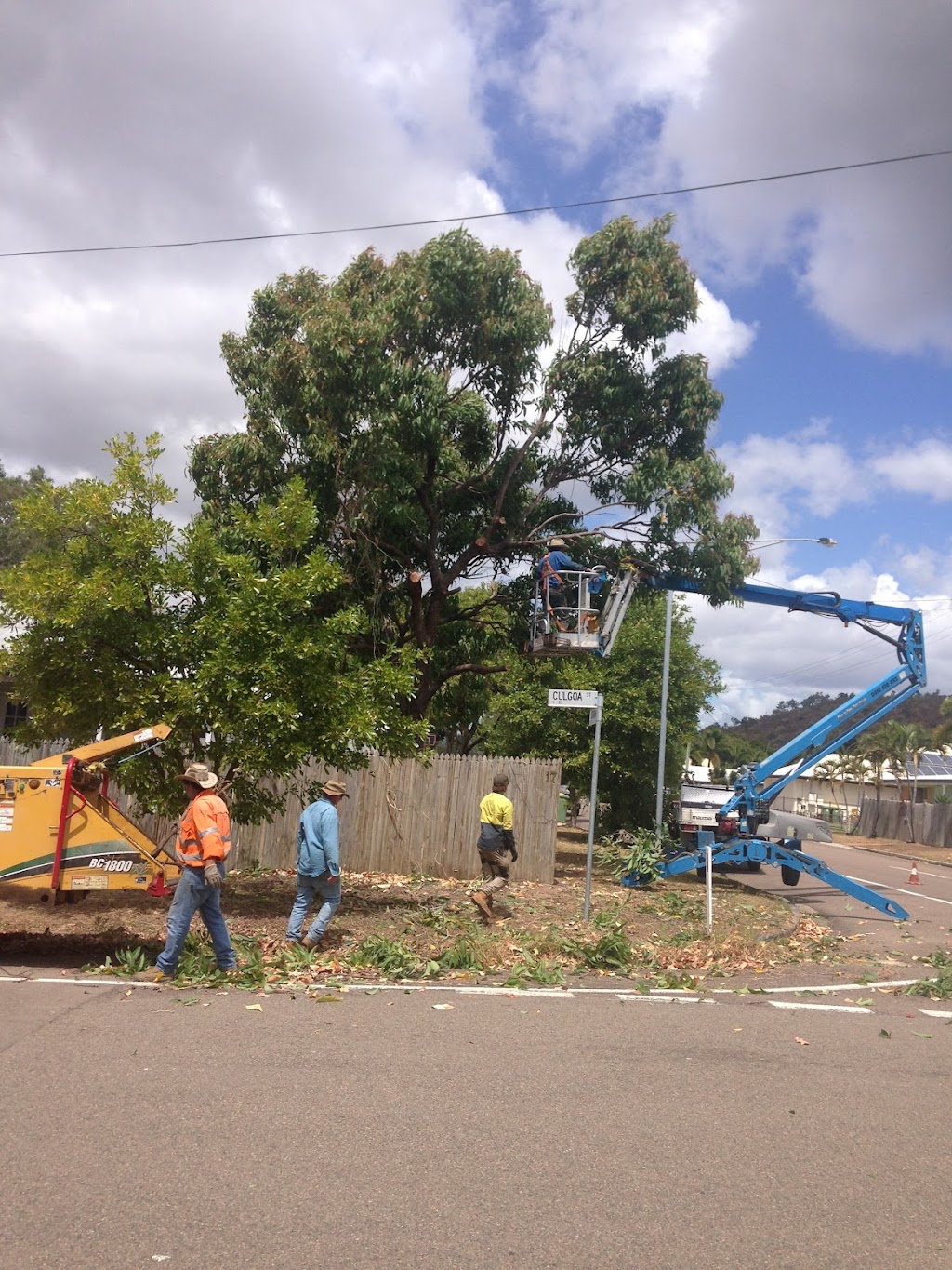 Chop N Chip Tree Fellas |  | 1 Bougainville St, Roseneath QLD 4810, Australia | 0412180033 OR +61 412 180 033