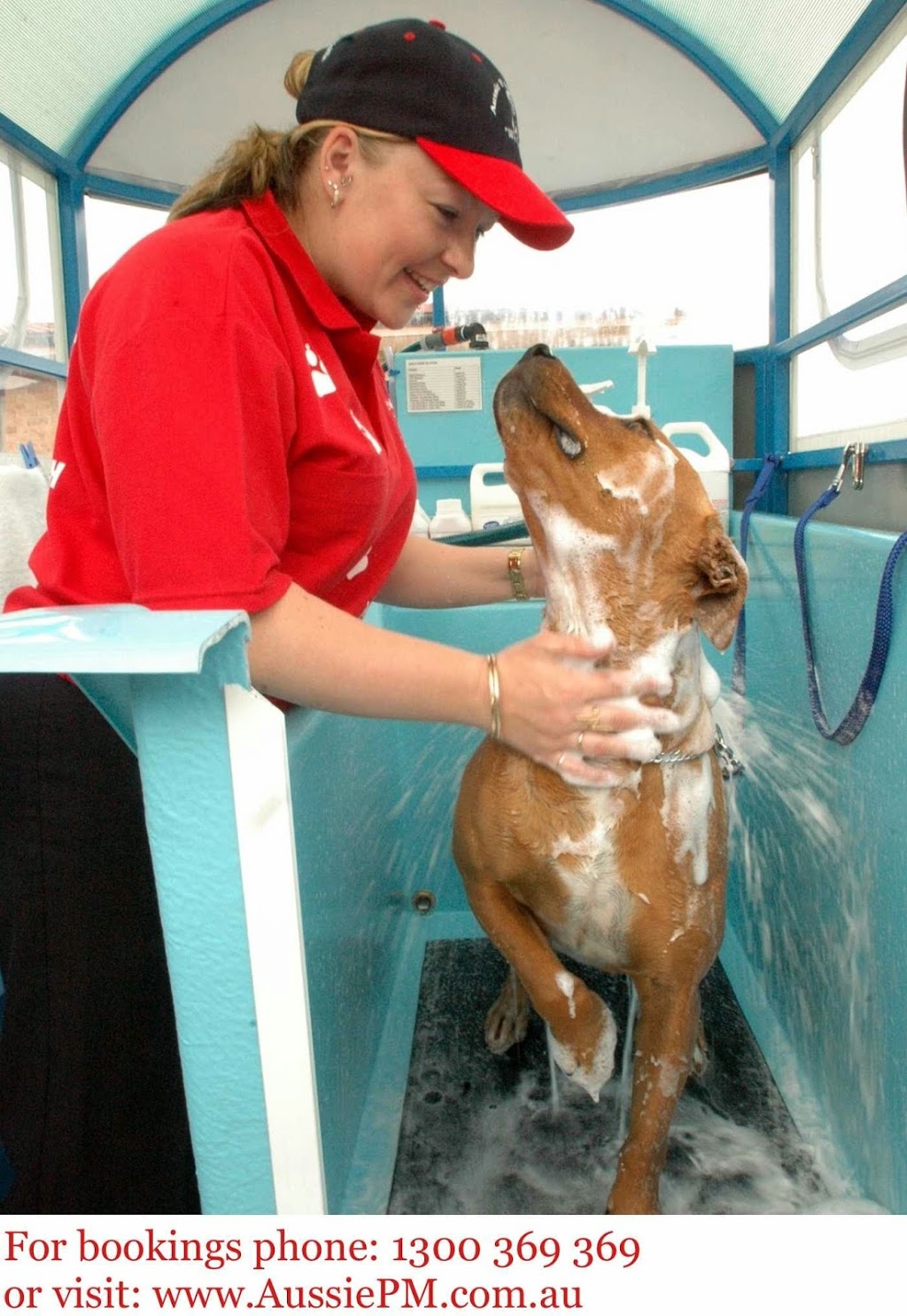 Aussie Pooch Mobile Dog Wash and Grooming Franchise | 1 Magellan Pl, Bonny Hills NSW 2445, Australia | Phone: 1300 369 369