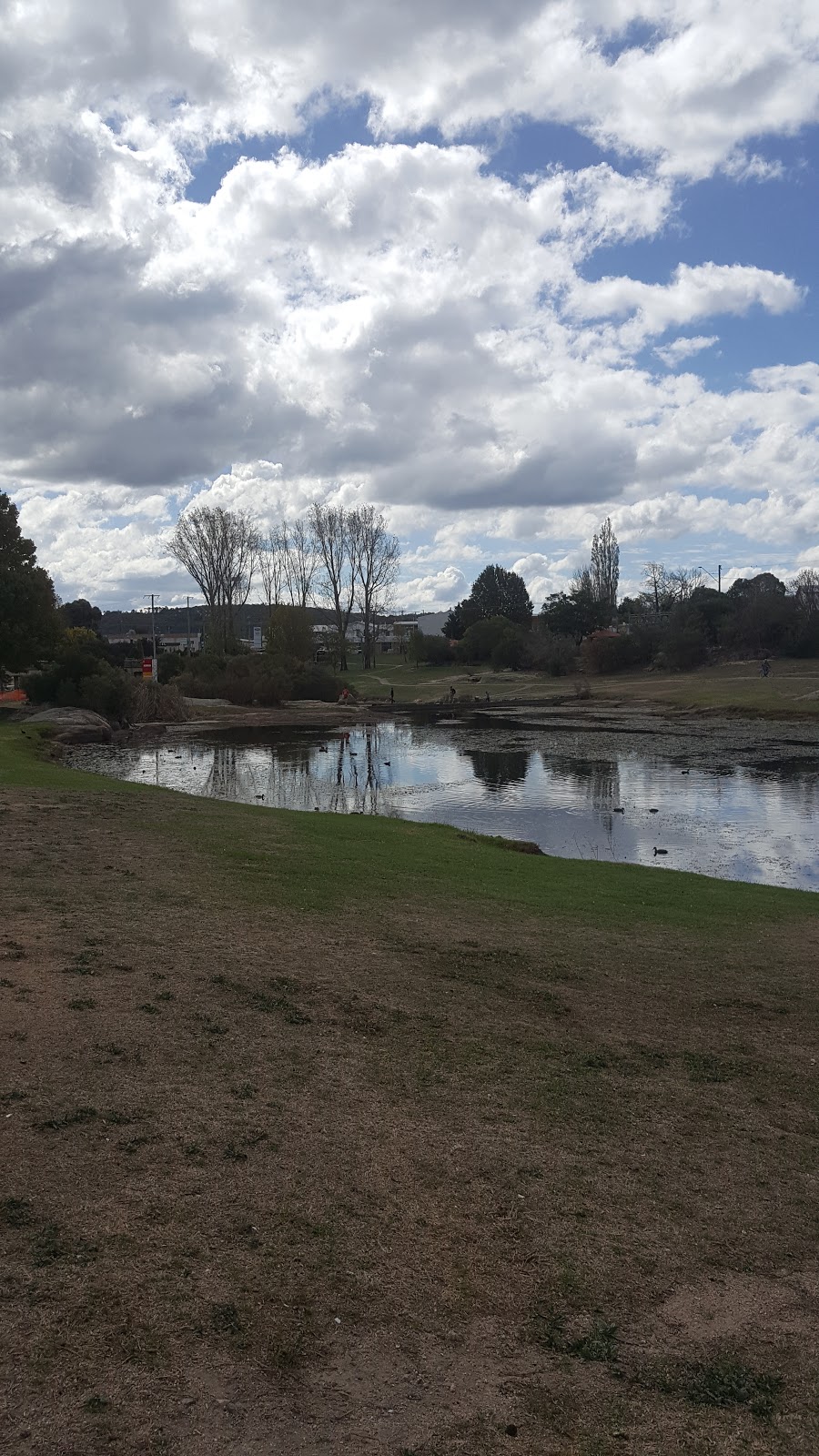 Stanthorpe Visitor Information Centre | 28 Leslie Parade, Stanthorpe QLD 4370, Australia | Phone: (07) 4681 2057