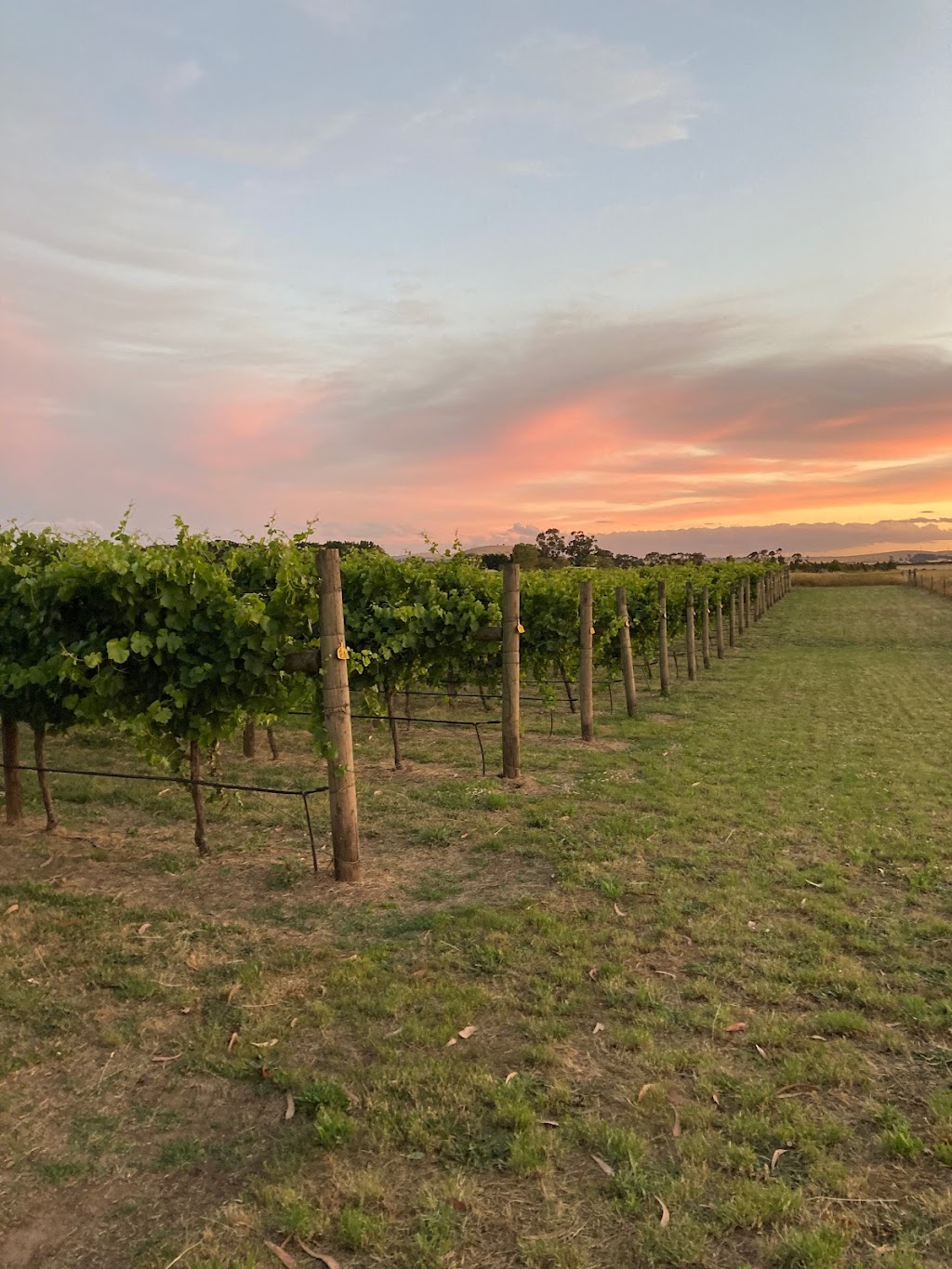 Walsh Block - Coghills Creek Road | 1037 Coghills Creek Rd, Coghills Creek VIC 3364, Australia | Phone: 0490 831 938
