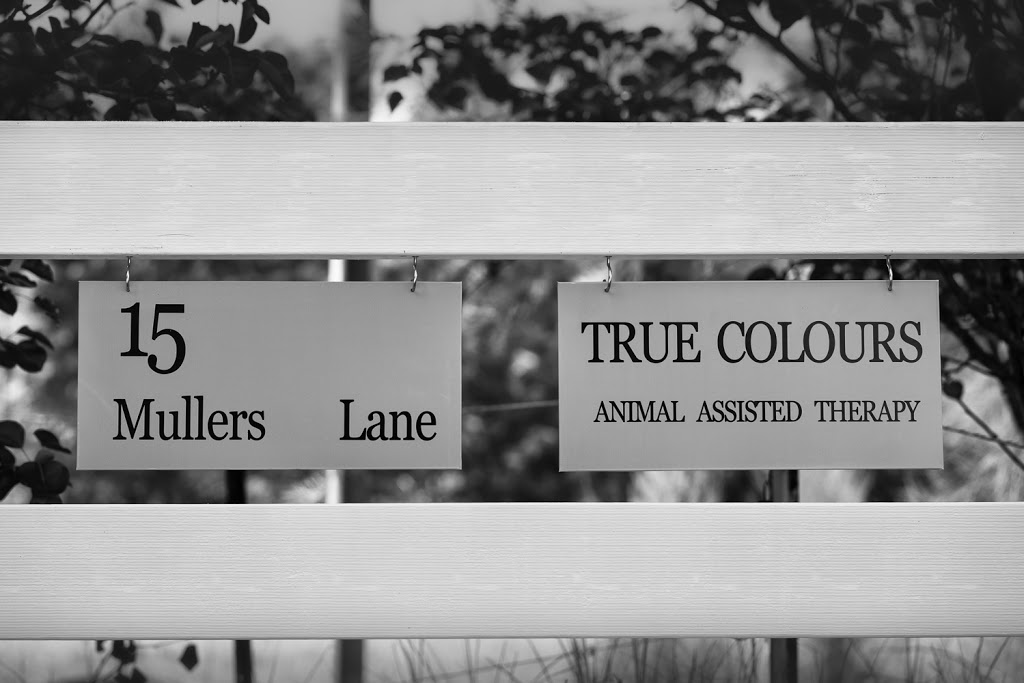 True Colours - Animal Assisted Therapy | health | 15 Mullers Ln, Berry NSW 2535, Australia | 0407769937 OR +61 407 769 937