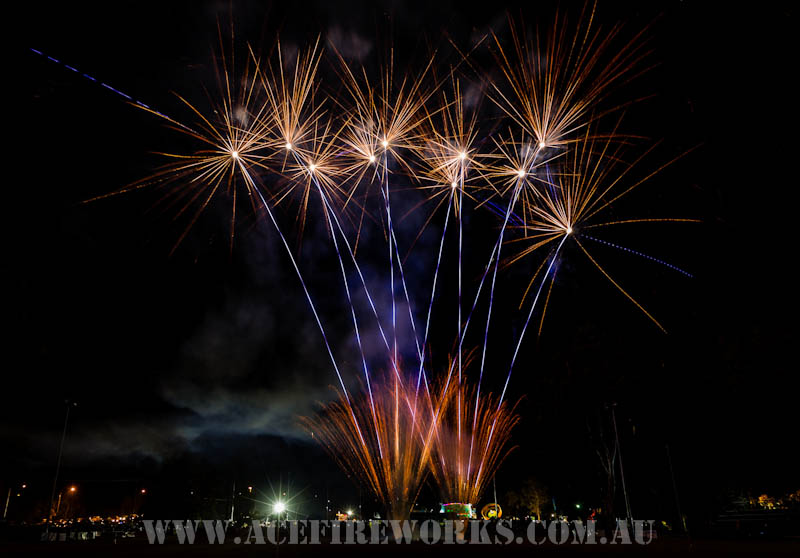 Ace Fireworks | store | 19 Devoy St, Ashgrove QLD 4060, Australia | 0733662355 OR +61 7 3366 2355