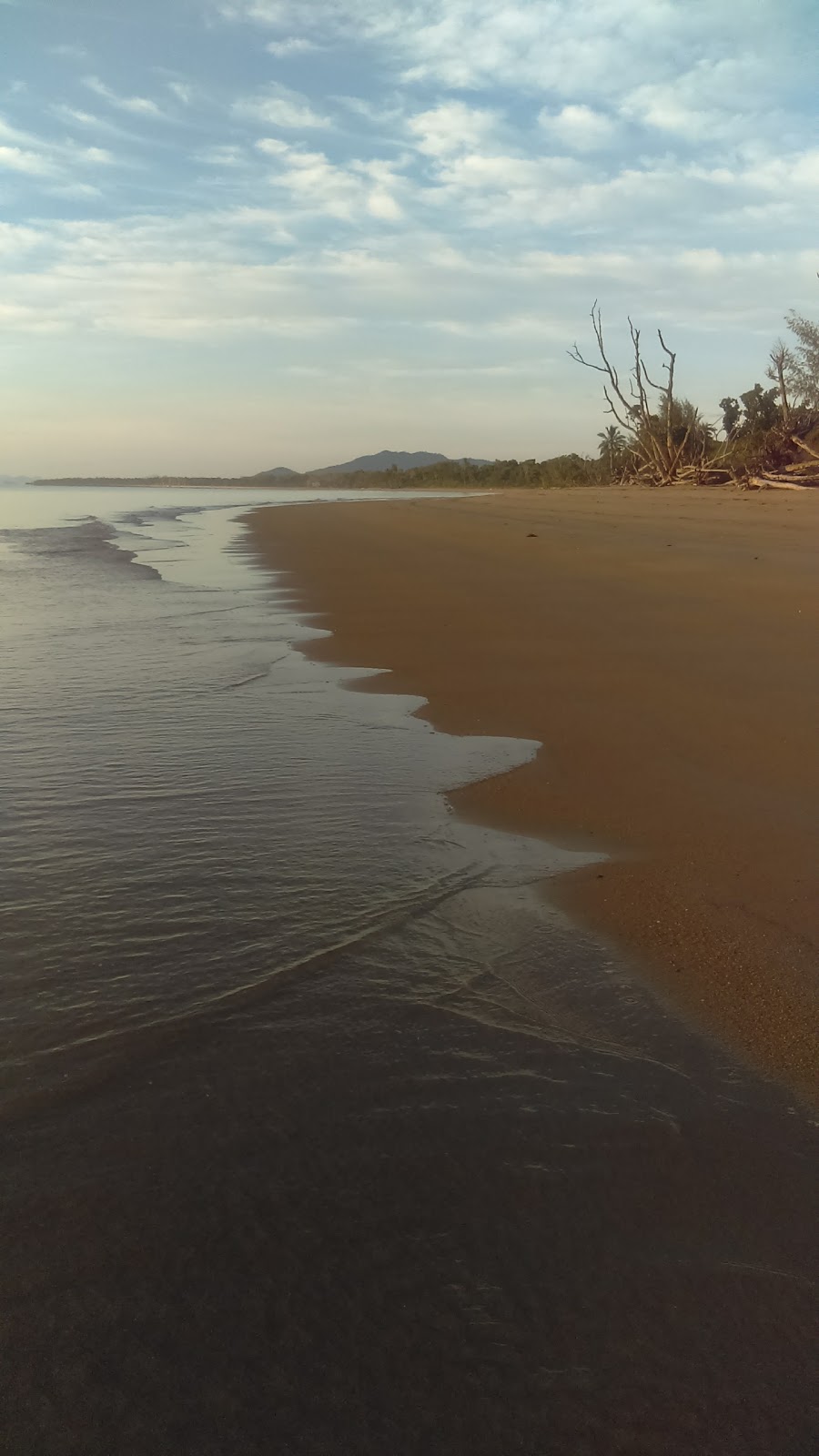 Kurrimine Beach National Park and Kurrimine Beach Conservation P | Kurrimine Beach QLD 4871, Australia