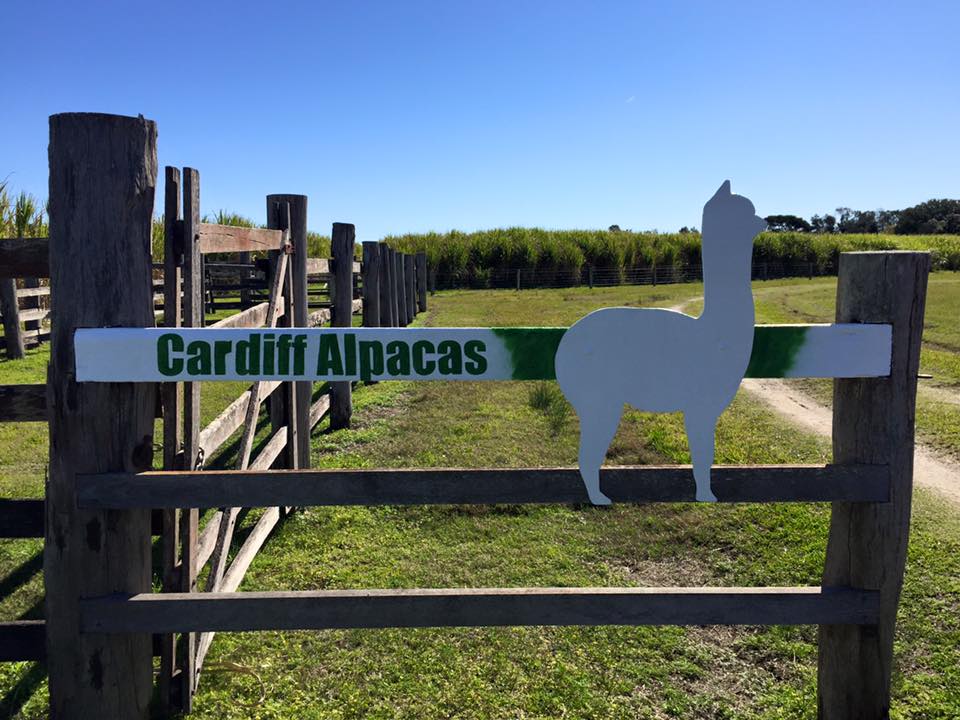 Cardiff Alpacas | store | 165 Nicholsons Ln, Harwood NSW 2465, Australia | 0266464377 OR +61 2 6646 4377
