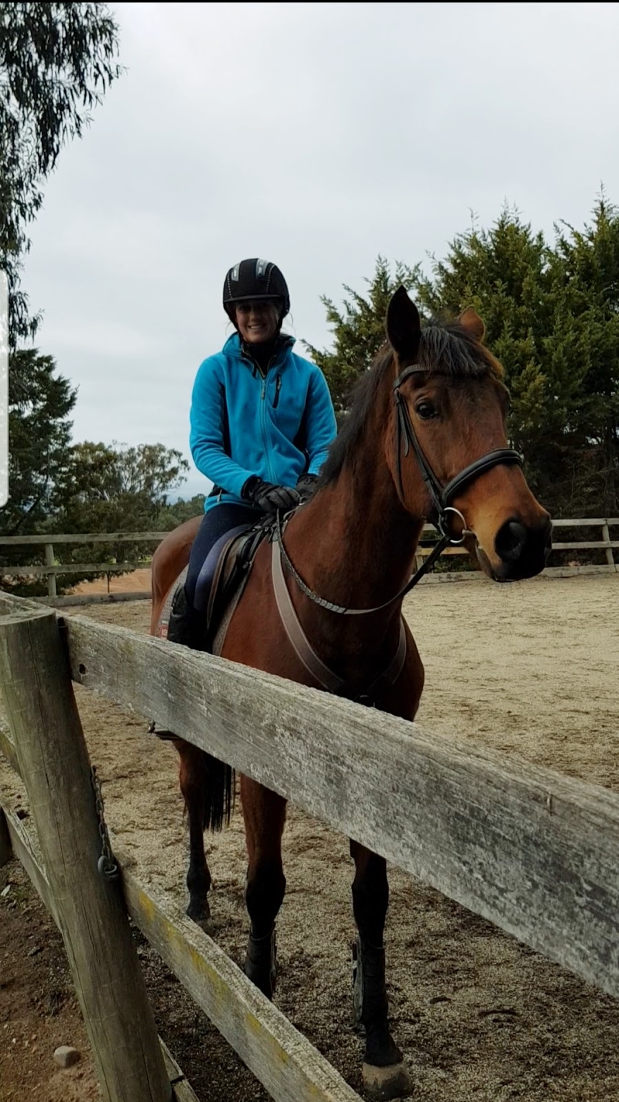 Sophia Landy Equestrian |  | 50 Paps Ln, Maindample VIC 3723, Australia | 0433262040 OR +61 433 262 040
