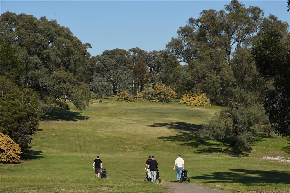 B Performance & Pro Shop | 77 Belvoir Park Rd, Ravenswood VIC 3453, Australia | Phone: (03) 5435 3370