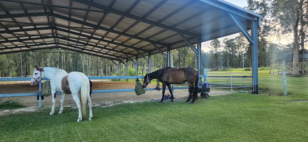 Valenor Equestrian | 231 Ramornie Station Rd, Ramornie NSW 2460, Australia | Phone: 0478 181 789