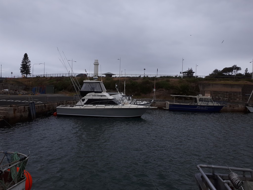 Krista Fishing Charters | Endeavour Drive, Wollongong Harbour, Wollongong NSW 2500, Australia | Phone: 0410 637 089