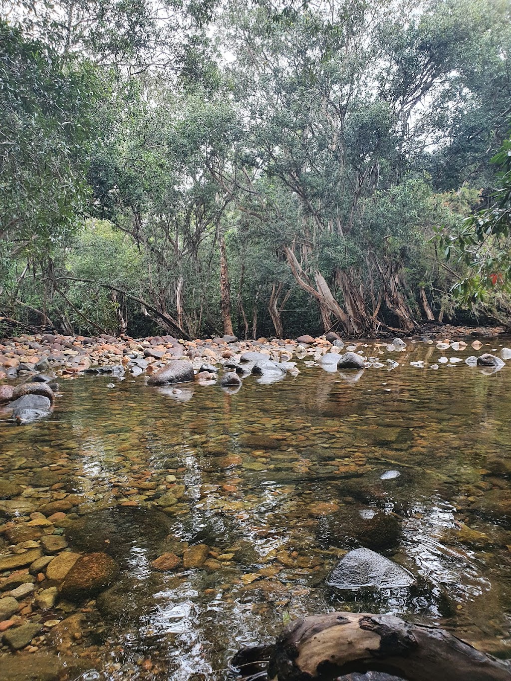 5 Mile Creek Swimming Hole | 284 Five Mile Creek Rd, Damper Creek QLD 4849, Australia | Phone: (07) 4066 8601