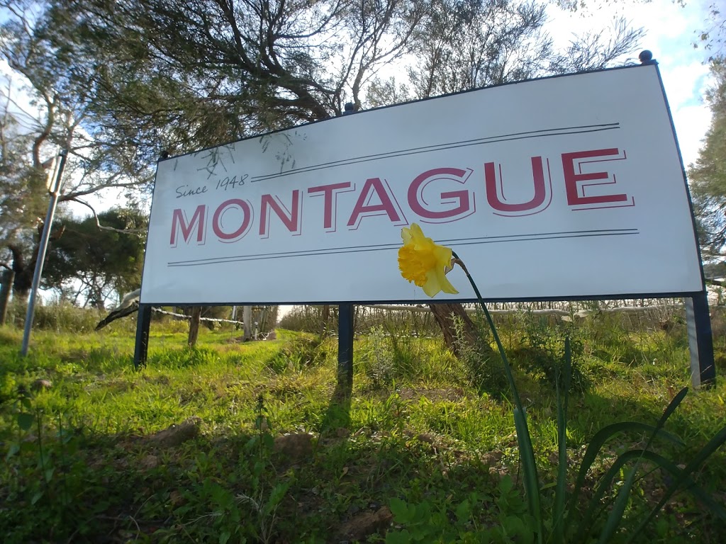 Montague | 10-12 Horswood Rd, Narre Warren North VIC 3804, Australia | Phone: (03) 9709 8100