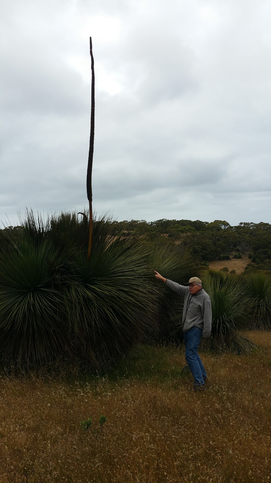 Deep Creek | South Australia 5204, Australia