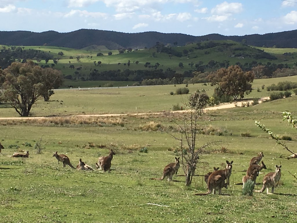 Tidbinbilla Nature Reserve | park | Paddy’s River Road, Paddys River ACT 2620, Australia | 0262051233 OR +61 2 6205 1233