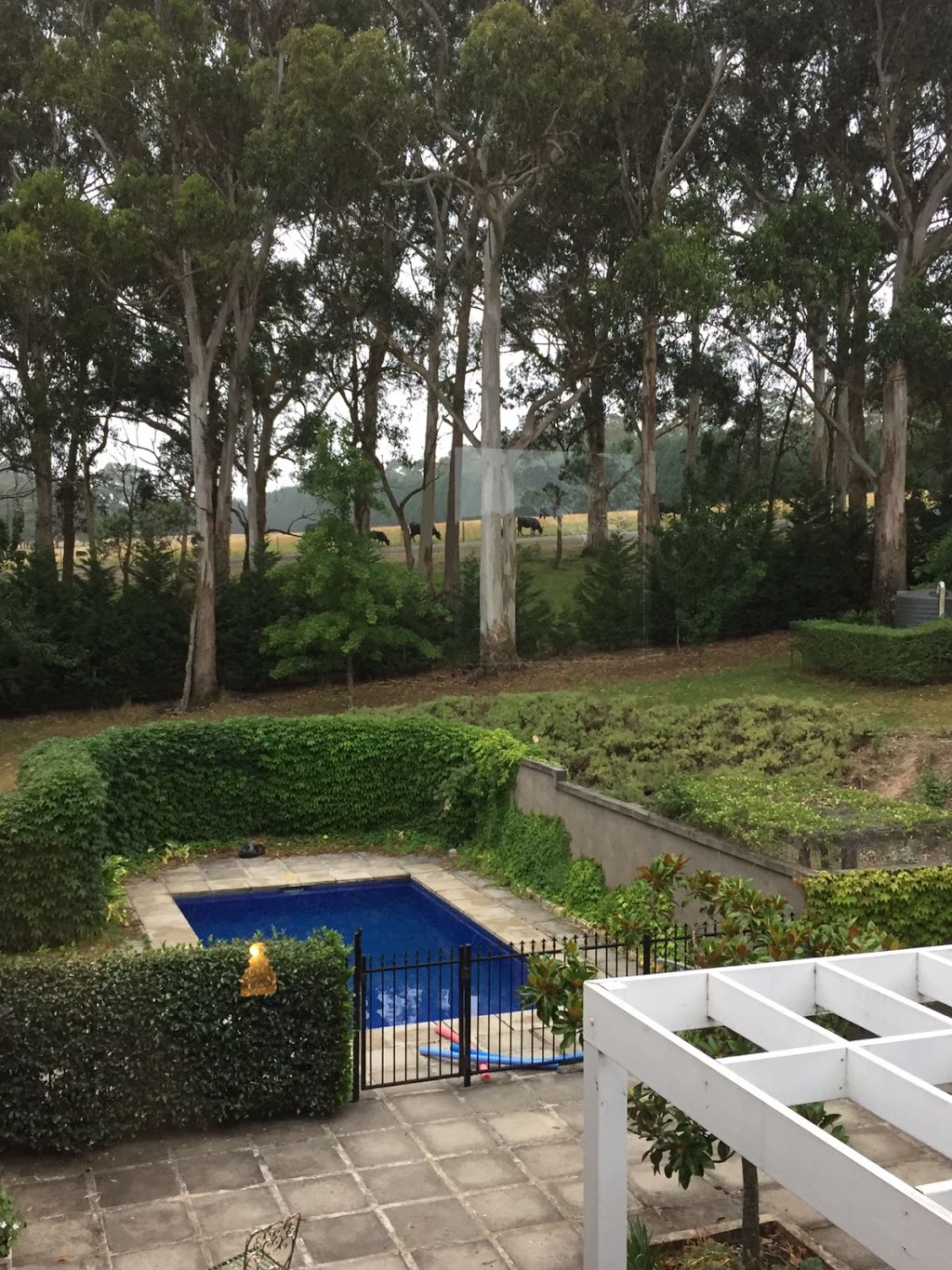 Bellmore Estate | lodging | 3 Birchwood Dr, Bundanoon NSW 2578, Australia