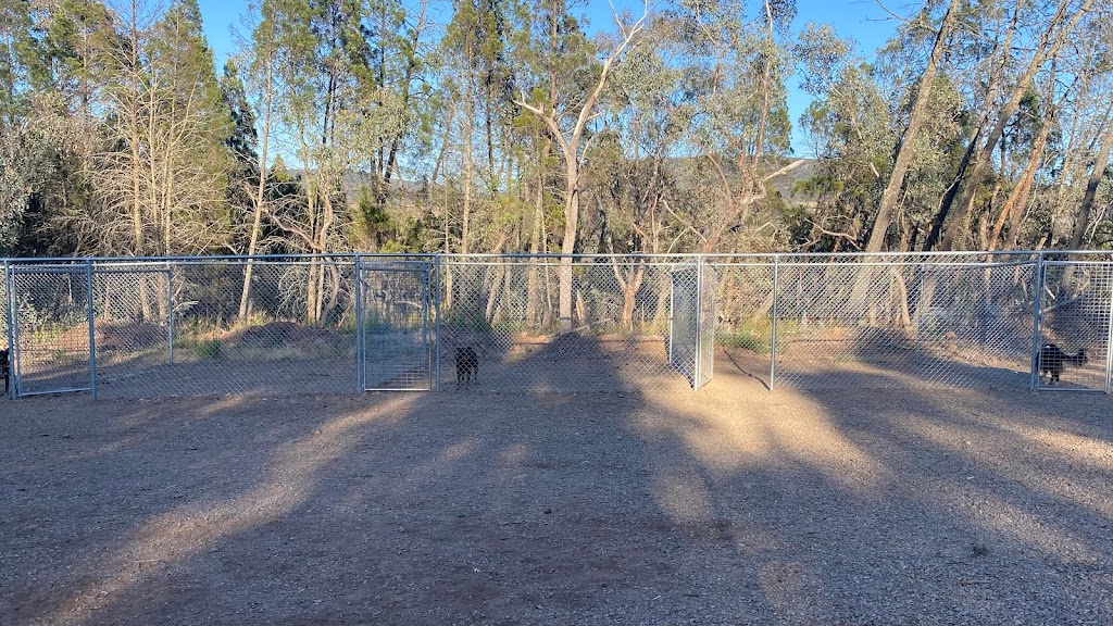 Loose Leads Dog Training | Bakers Swamp NSW 2820, Australia | Phone: 0408 018 946