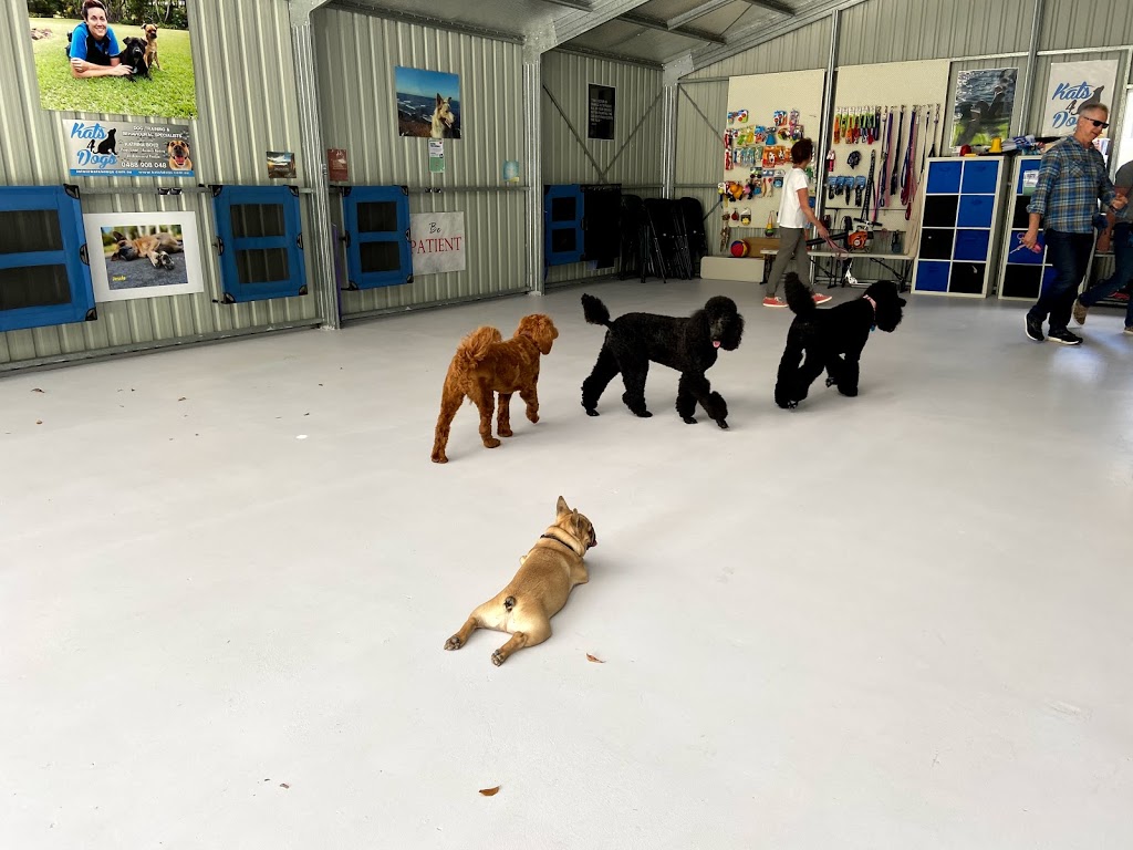 Kats 4 Dogs | 19 Livistona Dr, Doonan QLD 4562, Australia | Phone: 0488 908 048