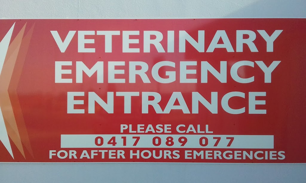 Riverland Veterinary Clinic | veterinary care | 63 Kay Ave, Berri SA 5343, Australia | 0885821222 OR +61 8 8582 1222