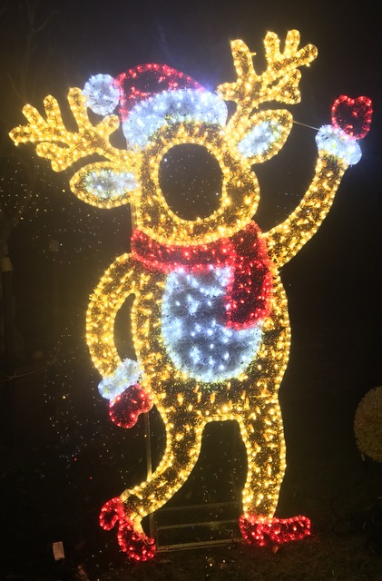 Christmas Alight | home goods store | 2/12 Bowers Rd S, Everton Hills QLD 4053, Australia | 0733530368 OR +61 7 3353 0368