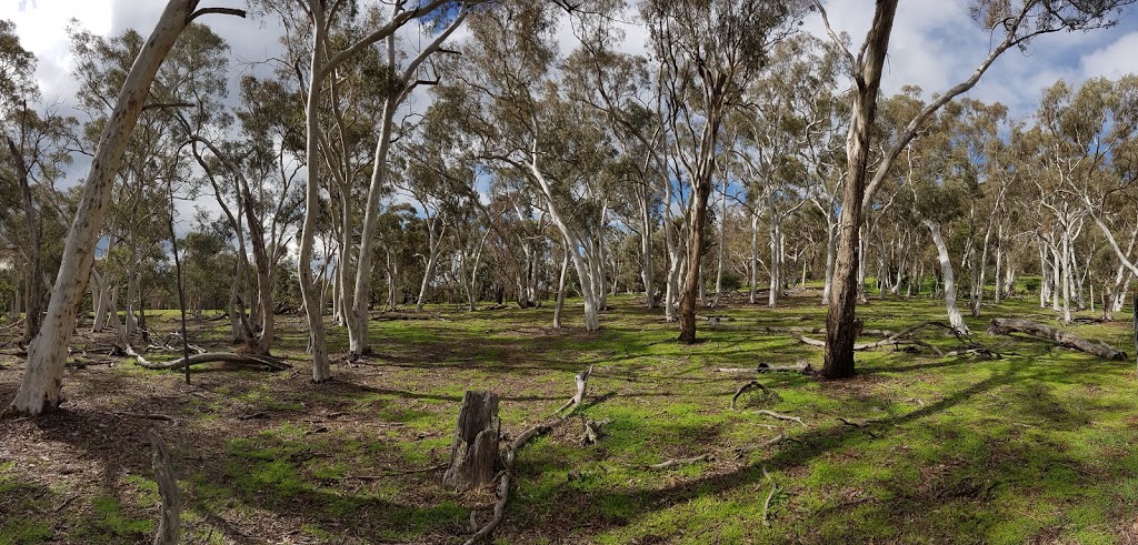 Mount Majura Special Purpose Reserve | park | Australian Capital Territory, Australia