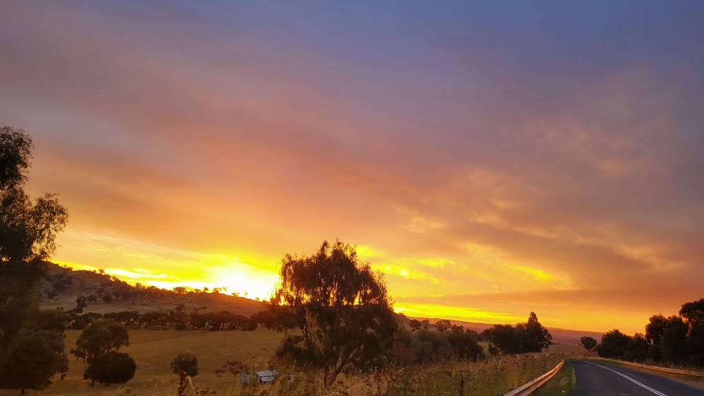 Willowleaf Properties P/L | 21 Paddys Cl, Lower Boro NSW 2580, Australia | Phone: 0437 977 861
