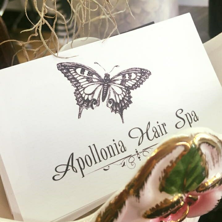 Apollonia Hair Spa | hair care | 72 Bridge St, Waratah NSW 2298, Australia | 0249680100 OR +61 2 4968 0100