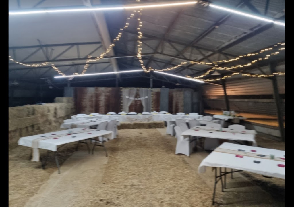 Heaven On The Hill | 104 Denman Rd, Mount Forbes QLD 4340, Australia | Phone: 0431 220 234