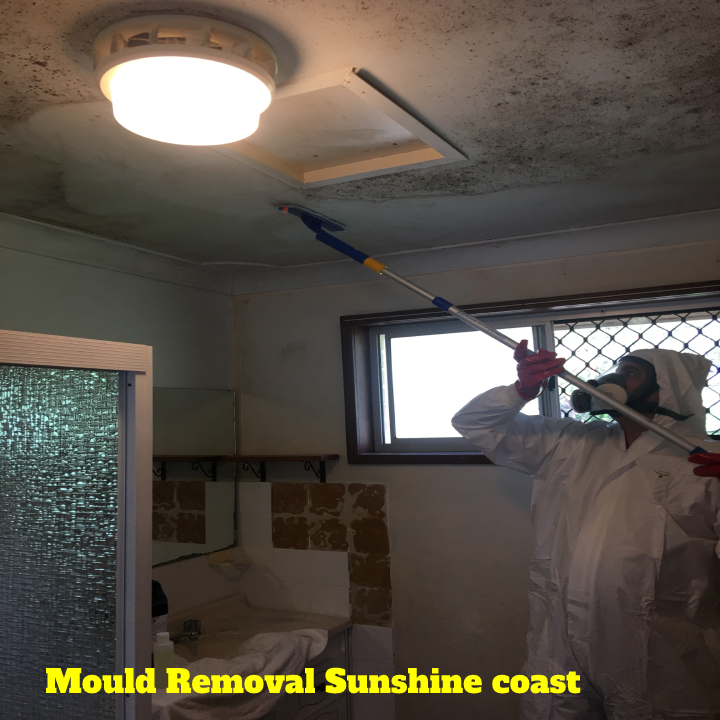 Electrodry Mould Removal Sunshine Coast | 34 Gloucester Rd, Buderim QLD 4556, Australia | Phone: 1300 132 713