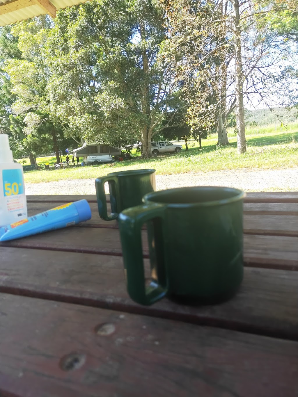 Roses Park Rest Area | campground | 2656 Waterfall Way, Thora NSW 2454, Australia