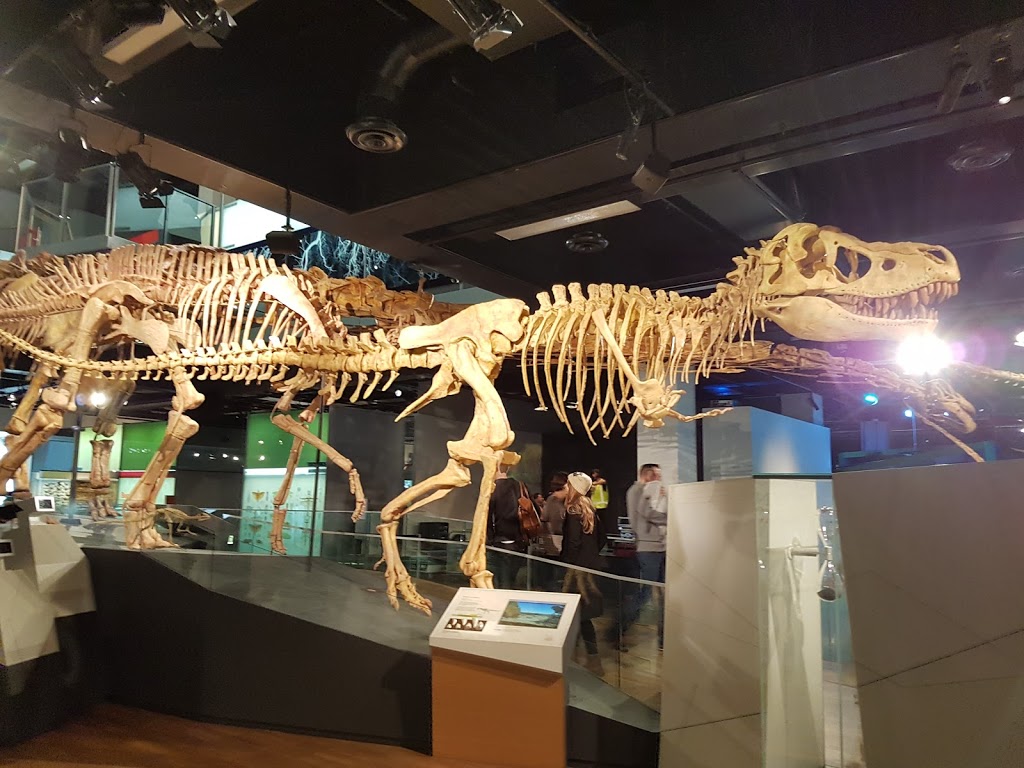 Melbourne Museum | museum | 11 Nicholson St, Carlton VIC 3053, Australia | 0383417777 OR +61 3 8341 7777