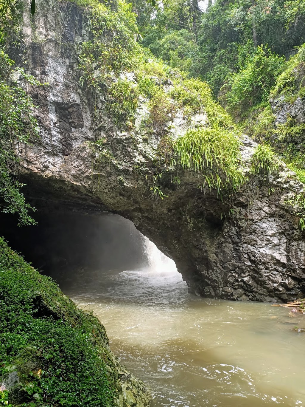 Natural Bridge |  | Bakers Rd, Natural Bridge QLD 4211, Australia | 137468 OR +61 137468