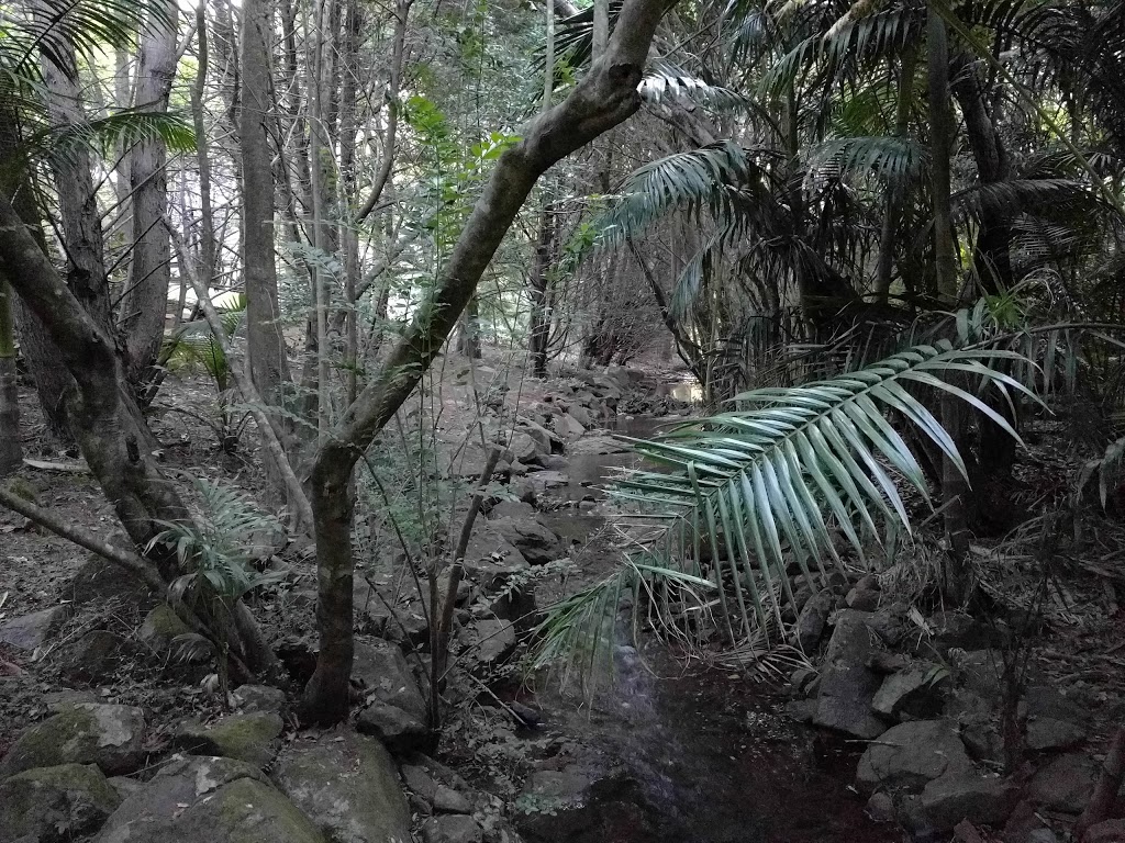 Glow Worm Caves | zoo | Cedar Creek Estate, 104-144 Hartley Rd, Tamborine Mountain QLD 4272, Australia | 0755451666 OR +61 7 5545 1666