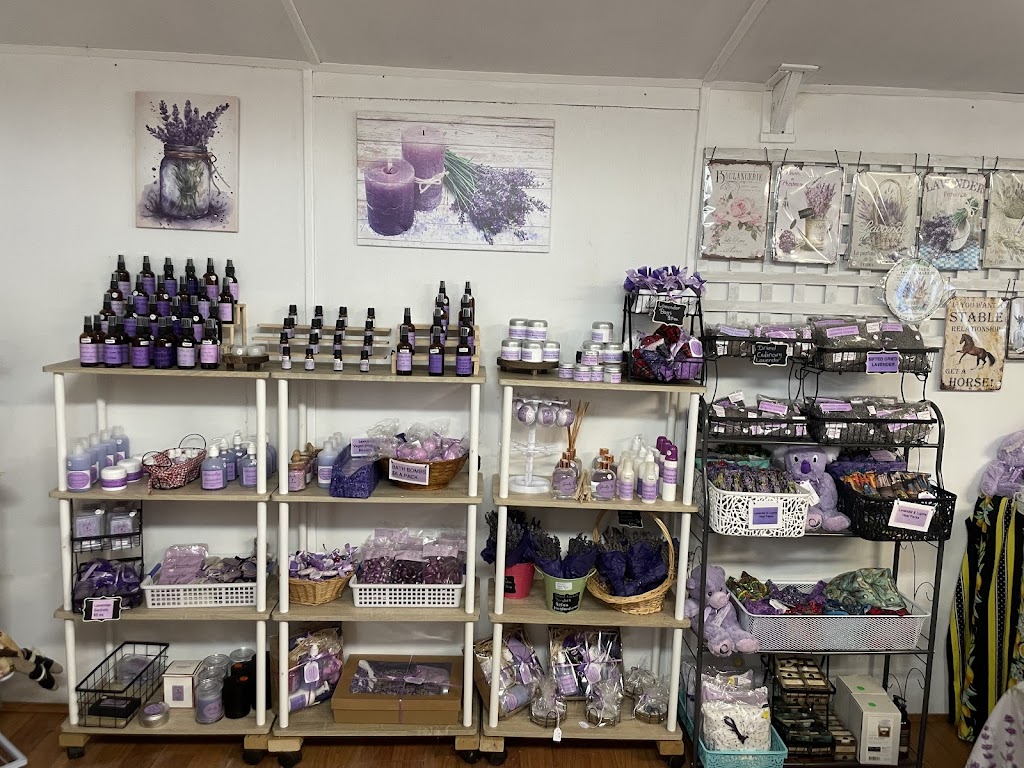 Glenvalley Lavender | 675 Traralgon-Maffra Rd, Glengarry VIC 3854, Australia | Phone: 0401 317 635