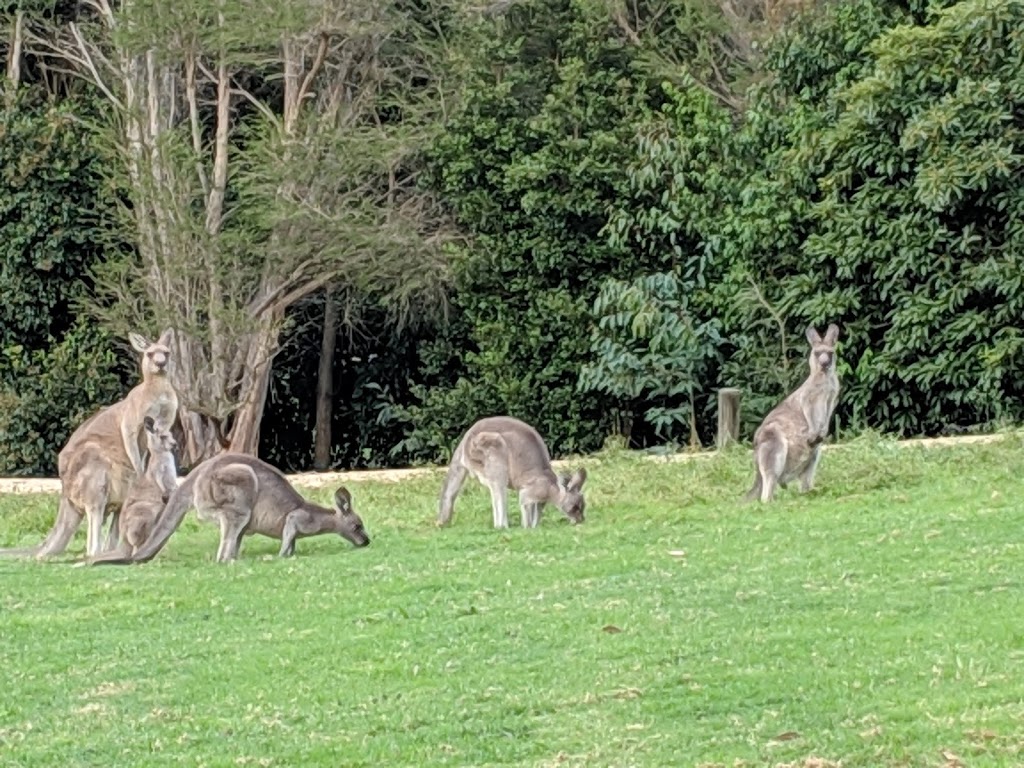 GIPSY POINT LAKESIDE | lodging | 261 Gipsy Point Rd, Gipsy Point VIC 3891, Australia | 0351588200 OR +61 3 5158 8200