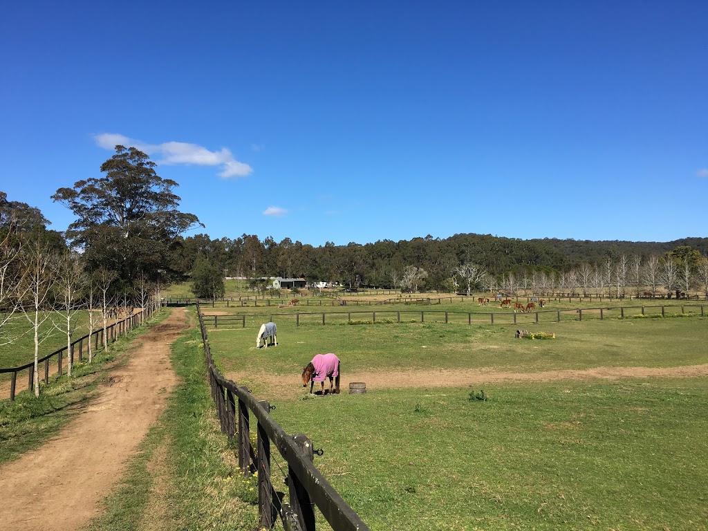 Yarramlong Valley Horse Farm Stay | lodging | 267 Yarramalong Rd, Wyong Creek NSW 2259, Australia