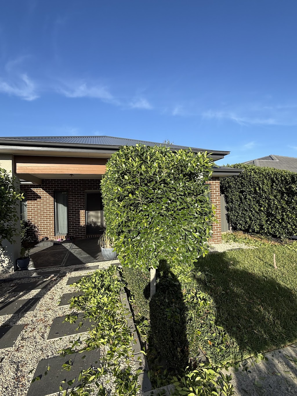 Procut lawn & property services | 30 Cornflower Rise, Botanic Ridge VIC 3977, Australia | Phone: 0418 819 662