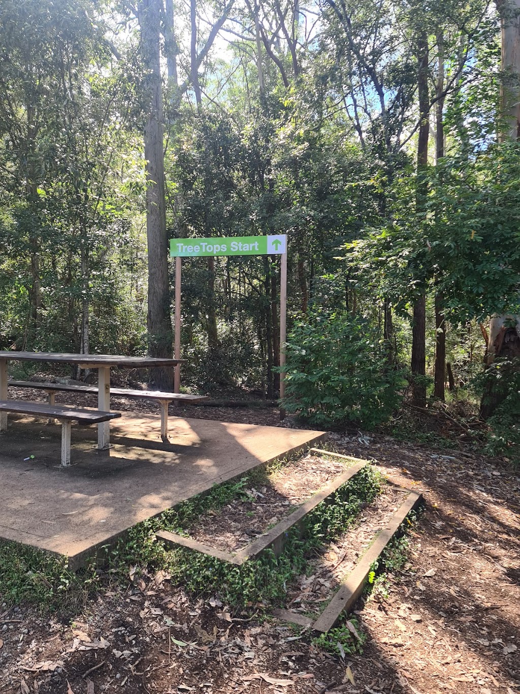 Treetops Adventure The Hills | Cumberland State Forest, 95 Castle Hill Rd, West Pennant Hills NSW 2126, Australia | Phone: (02) 9188 4051