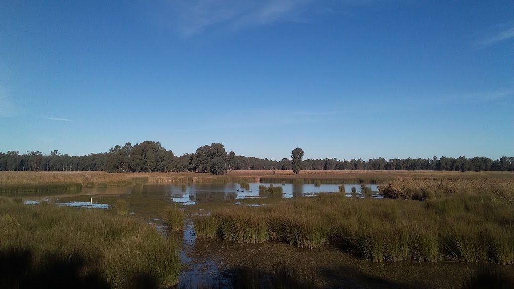 Reed Beds Bird Hide, Murray Valley National Park | Mathoura NSW 2710, Australia